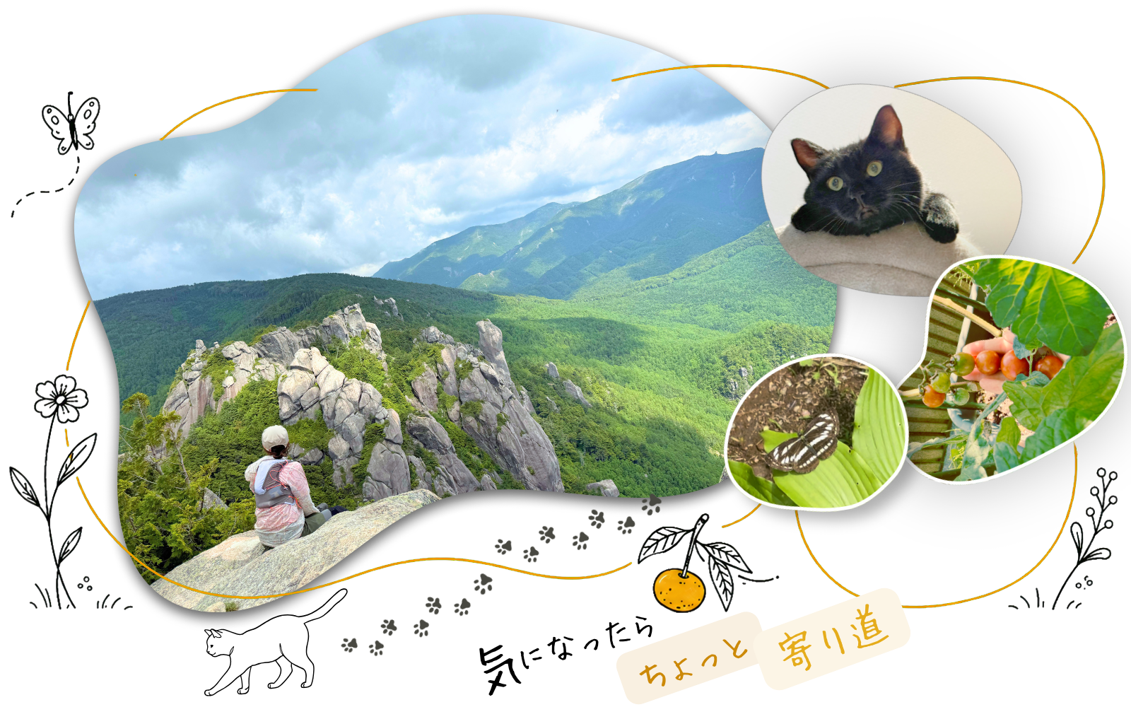 きょうの寄り道